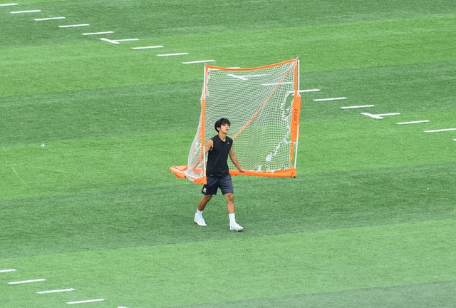 动画卷