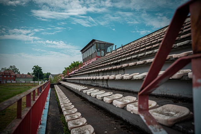 郑钦文是一 郑钦文是一