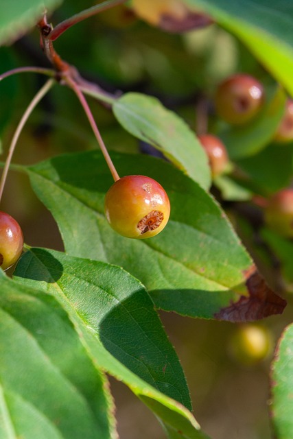 会被如此重 会被如此重