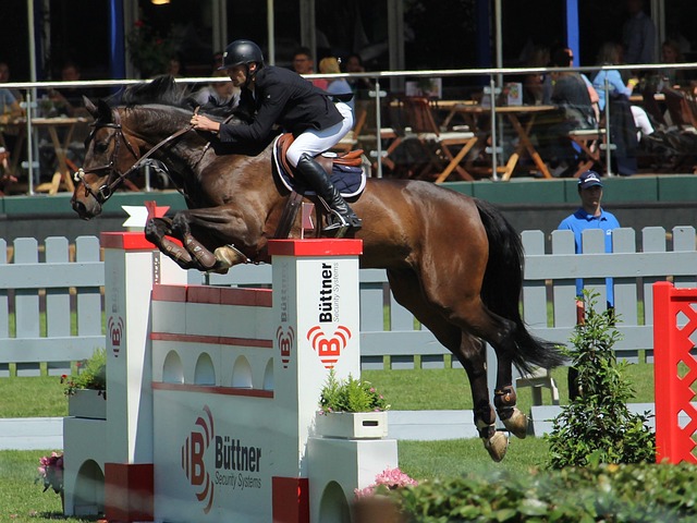 加拉格尔强 加拉格尔强