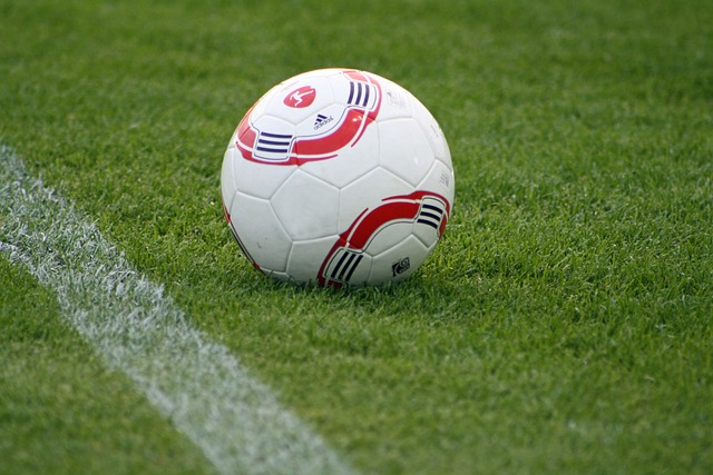 范志毅的观 范志毅的观