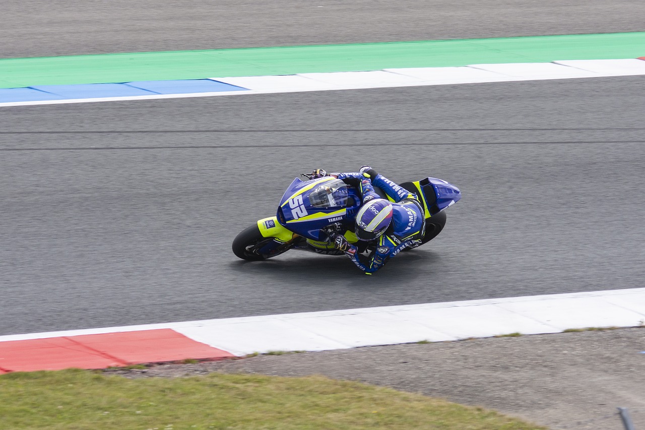 摩纳哥的战 摩纳哥的战