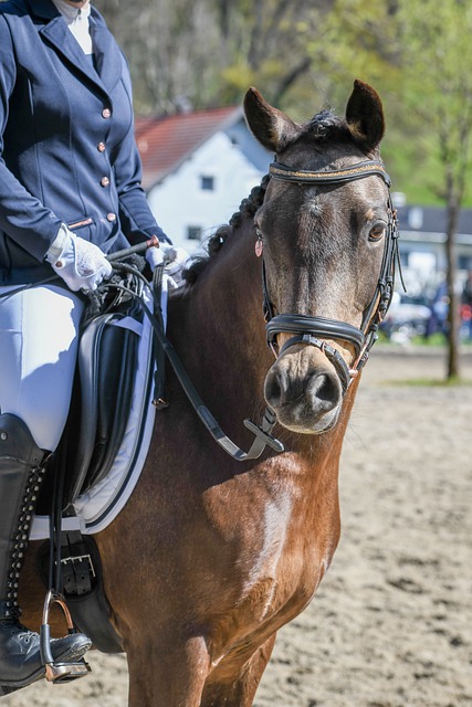 他的成长轨 他的成长轨