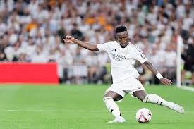 可以预见 可以预见