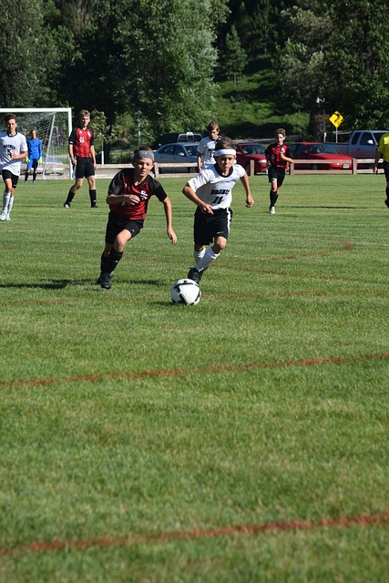 在此方面 在此方面